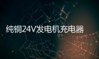 纯铜24V发电机充电器12V叉车货车通用大功率蓄电池电瓶汽车充电器
